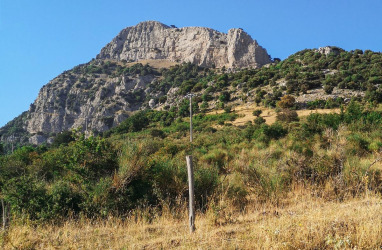 Trekking sul Monte Sellaro