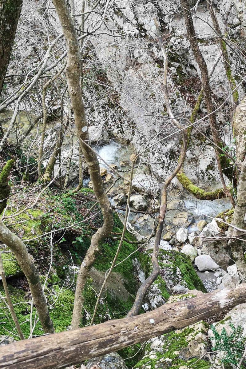 oasi-riserva-naturale-guardiaregia