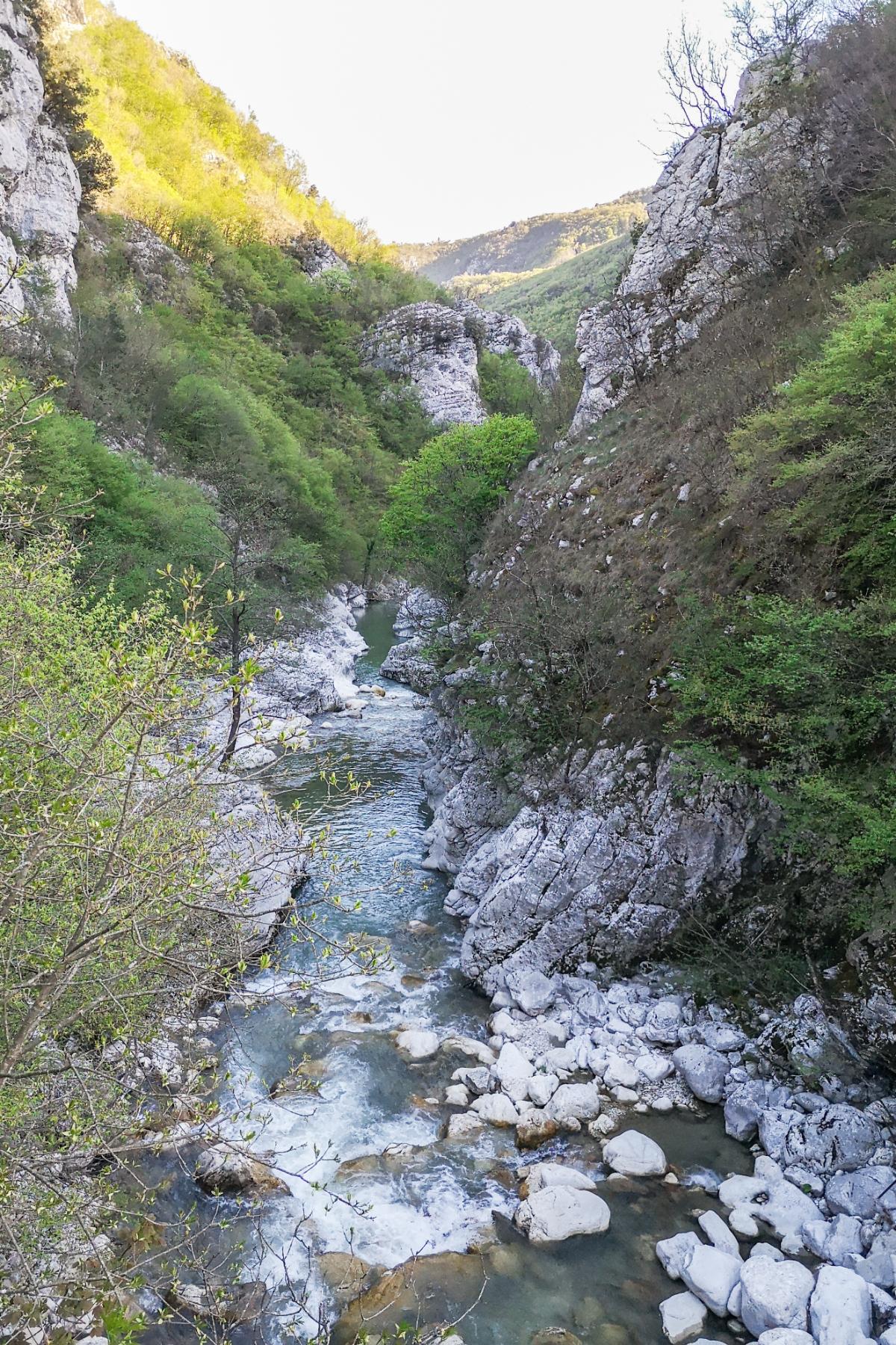 Forre del Titerno Cusano Mutri