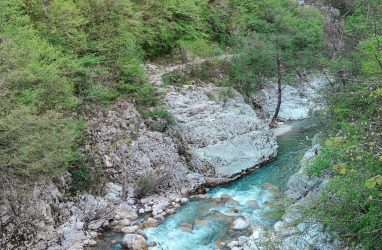 Forre del Titerno