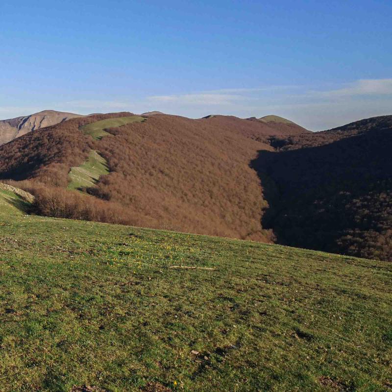 Monte Calvelluzzo