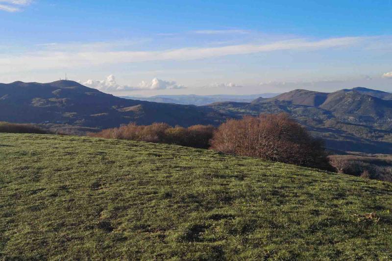Monte Calvelluzzo Appennino Lucano